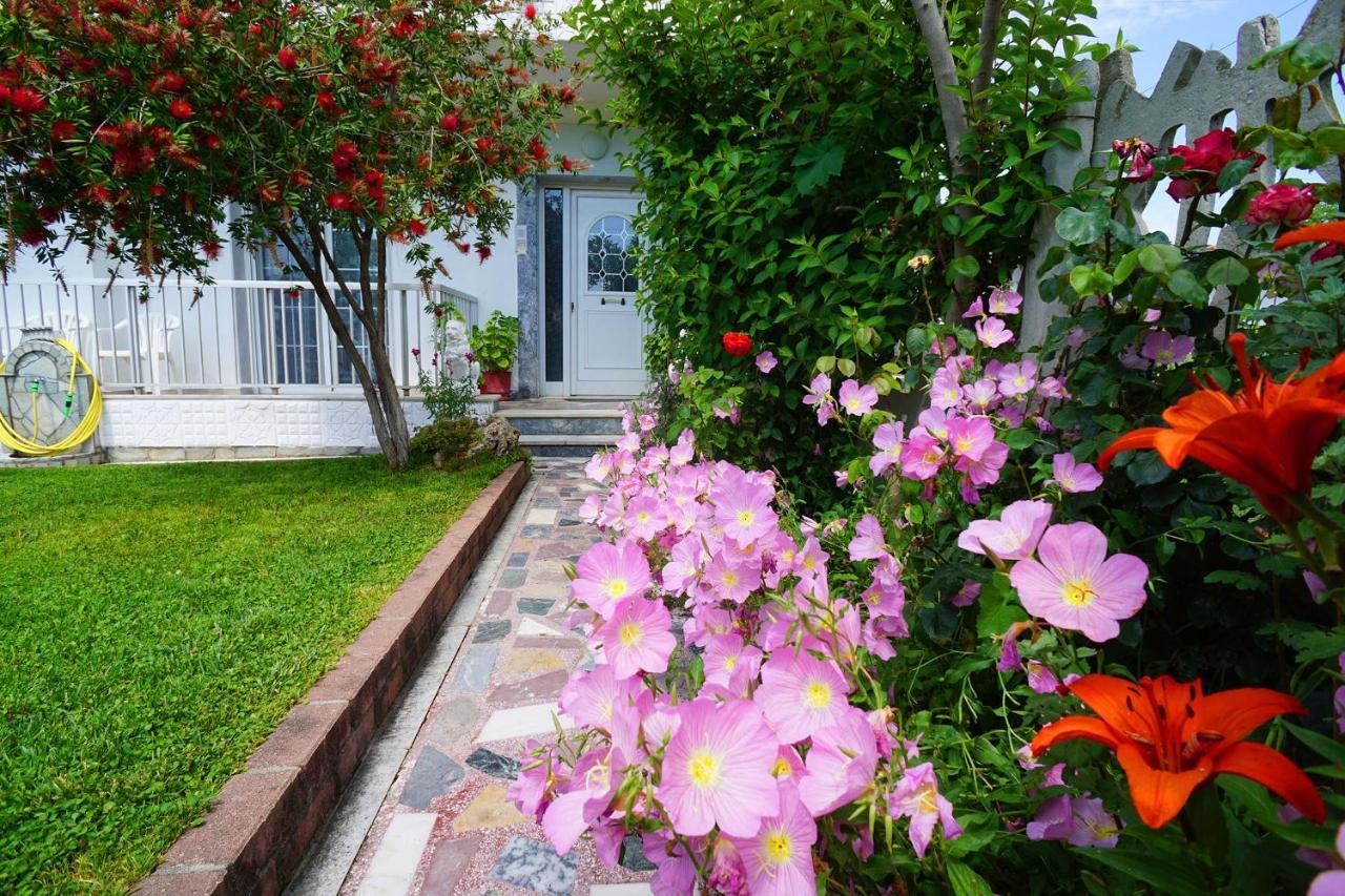 Village Avdira Family House Εξωτερικό φωτογραφία